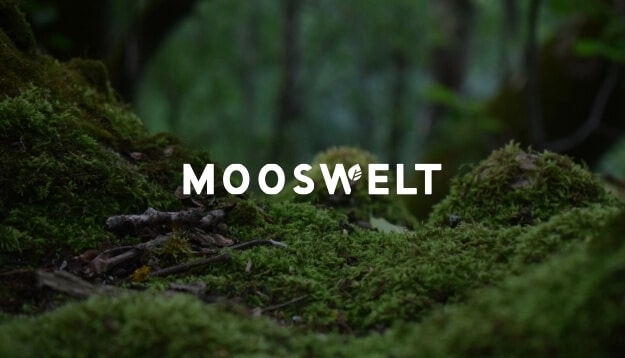 Portfolio Bild Mooswelt